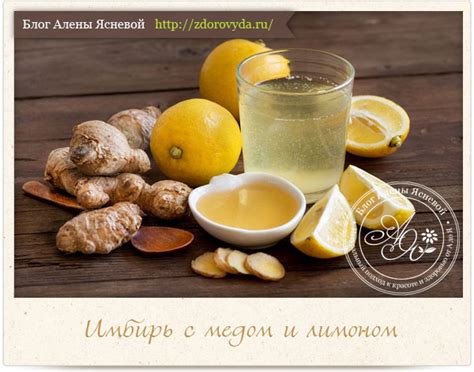 Лимон с имбирем и медом при потенции